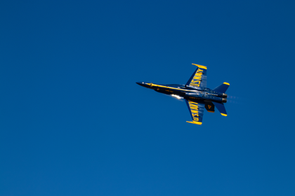blue-angels_7168943930