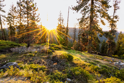 sunset-over-sequoia_8276069704